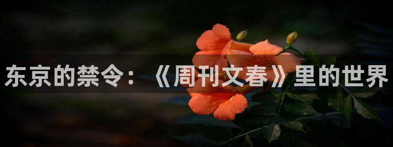 svip漫画韩漫