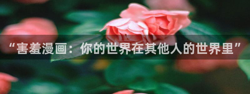 超多车的韩漫漫画