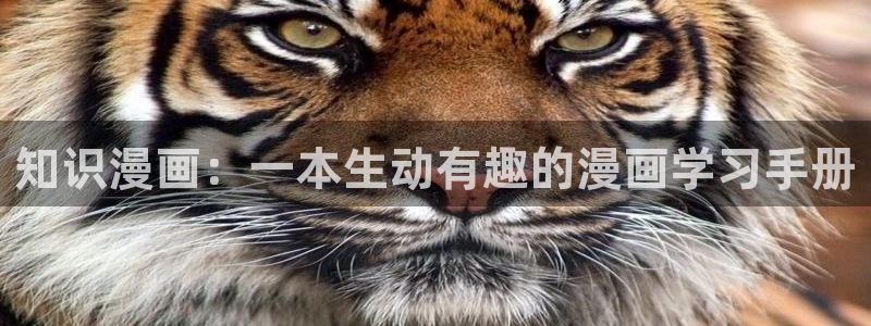 韩漫画大全免费看入口
