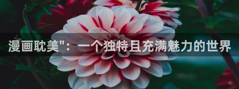 韩漫网站免费观看漫画