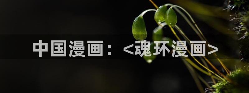 韩漫魔咒免费漫未删减版