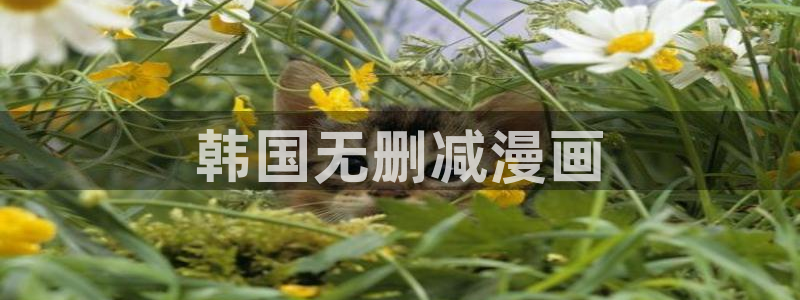 好看的漫画韩漫免费