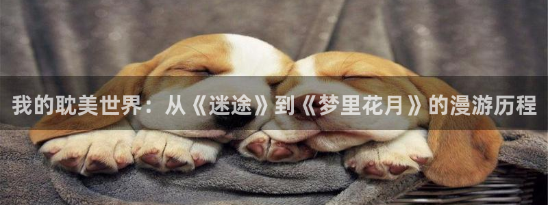 美丽新世界韩漫画看