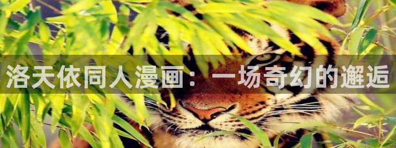 将杀韩漫完整版免费观看